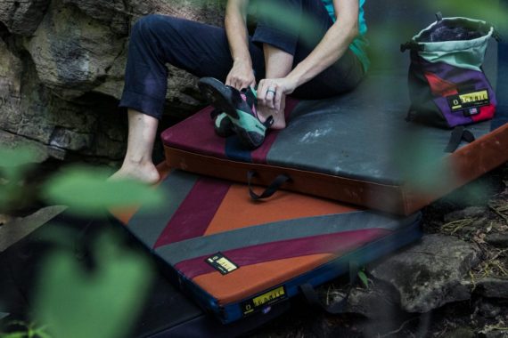 organic-10-1024×683