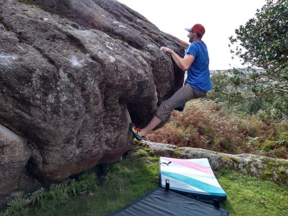 organic-header_4a686f6c